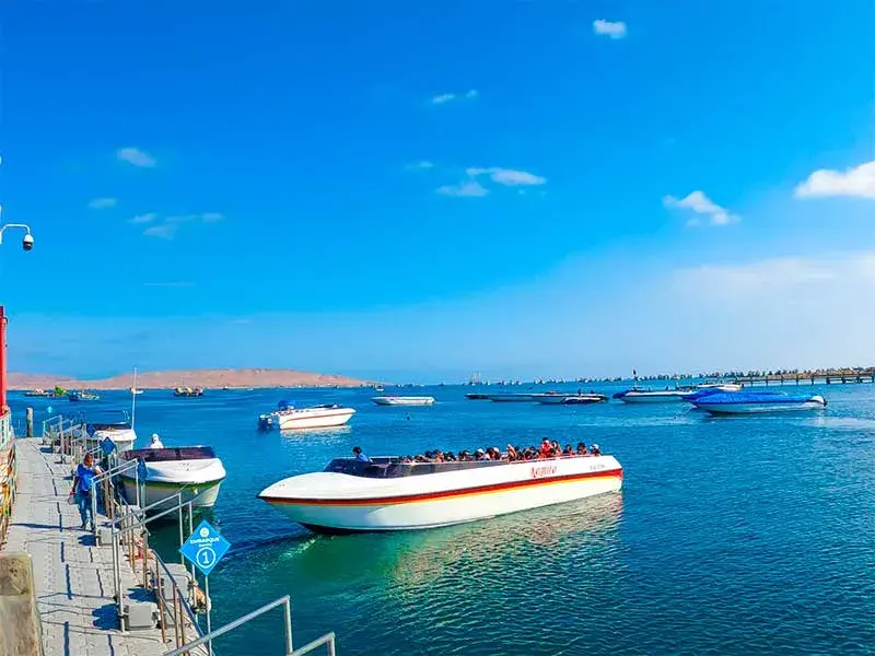 Embarcación a Islas Ballestas tour full day paracas ica