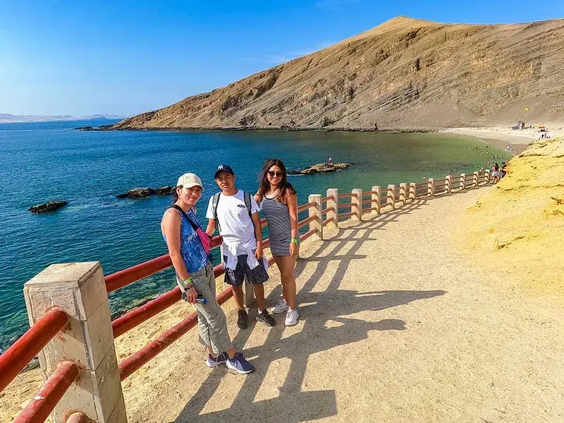 Full Day Playa La Mina Yakupark Paracas con vista del Mirador Playa La Mina en la Reserva Nacional de Paracas