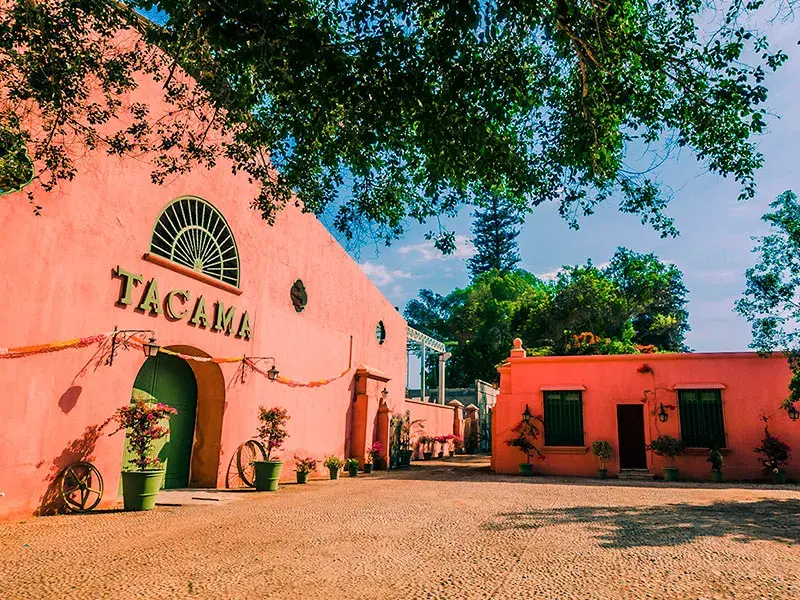 tour paracas ica con bodega tacama desde lima